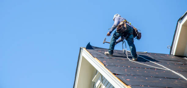 Professional Roofing Contractor in Valparaiso, FL